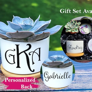 Initials Succulent Gift | Personalized Ceramic Planter |  Birthday Gift Box | Gift Box | Live Succulent | Housewarming