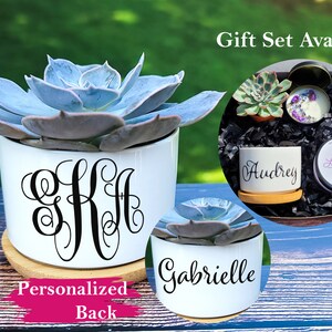 Initials Succulent Gift | Personalized Ceramic Planter |  Birthday Gift Box | Gift Box | Live Succulent | Housewarming