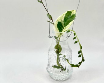 Propagation vase | Glass Jar | Indoor Plant Cutting | Water Rooting | Stylish House Decoration | Vintage Trendy | Hanging | Grow it yourself