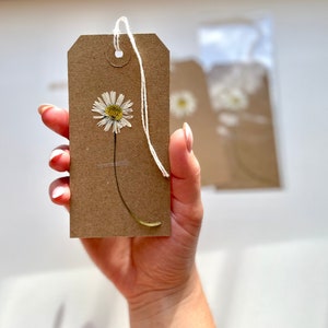 Etiquetas de regalo ecológicas / Planta prensada de margaritas / Planta viva / Nota de regalo ecológica orgánica / Etiqueta de regalo / Única, especial, natural / Flor prensada