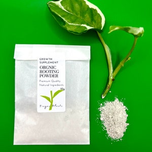 以下が含まれることがあります： 「Growth Supplement Organic Rooting Powder Premium Quality Natural Ingredients」のテキストと緑色の植物グラフィックが入った、白い有機発根パウダーのパック。 パックの隣には、少量の粉末と、緑と白の葉を持つ植物の挿し木があります。
