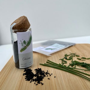 1000+ Chives seeds herb | Untreated | Allium schoenoprasum | 100 % Germination | Garden Chives | Cooking Chives | Microgreens | Fast Growing