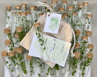 Personalized Event Favors | Custom Made Gift for Guests | Alive Plant | Glass Jar Propagation | Baby Party Birthday | Wedding Party