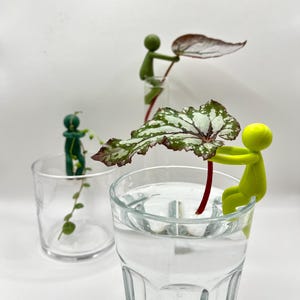 May include: Three clear glass tumblers with water, each containing a plant cutting. Small green figurines appear to be tending to the plants. One figurine holds a large leaf with green and white patterns.