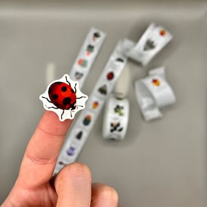 Può includere: Un adesivo a forma di coccinella con corpo rosso e pois neri è tenuto da un dito. Sullo sfondo ci sono diversi rotoli di adesivi decorativi con vari disegni, tra cui fiori e altri insetti.