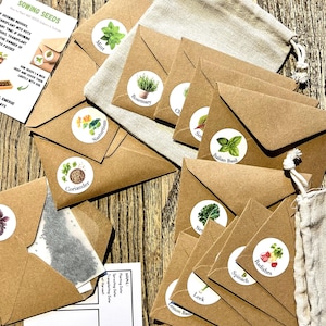 1000+ Seeds | Untreated | 100 % Fast Germination Growing | Garden Plants | Cooking | Garnish | Aromatic Spice |  | Sow All Year Round | Easy