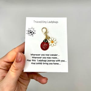 Câlin de poche | Abeille coccinelle champignon | Coloré | Cadeau environnemental | Cadeau | Offre spéciale unique | Merci | Voyagez en toute sécurité
