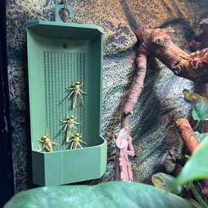 May include: A green plastic insect feeder with a perforated front, hanging on a textured wall. Several yellow and black insects are inside the feeder. A branch and a reptile are visible in the background.