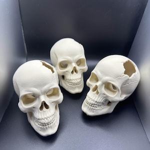 May include: Three off-white decorative skulls with detailed facial features, including eye sockets, nasal cavity, and teeth. One skull has a large opening in the top. The skulls are arranged on a dark surface.