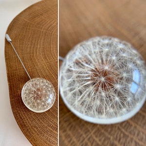 Dandelion brooch, chunky brooch, dandelion jewelry, dandelion in epoxy resin, dandelion seeds jewelry, botanical jewelry, winter brooch.