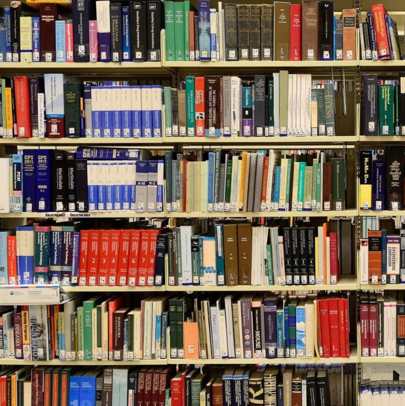 Library Bookshelf Zoom Background, Digital Virtual Background for Zoom