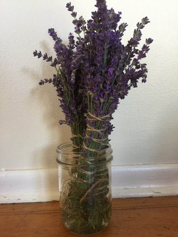 Lavender bundles Etsy