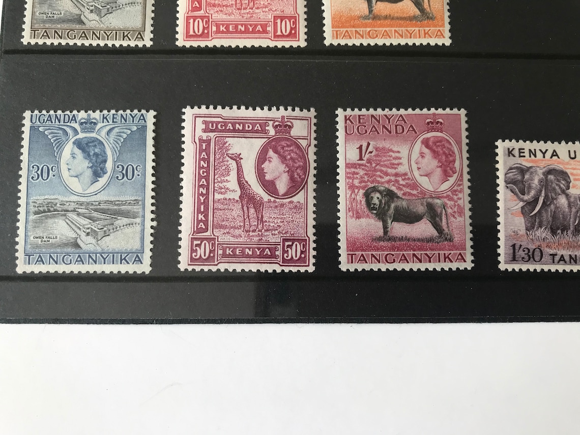 592951_5