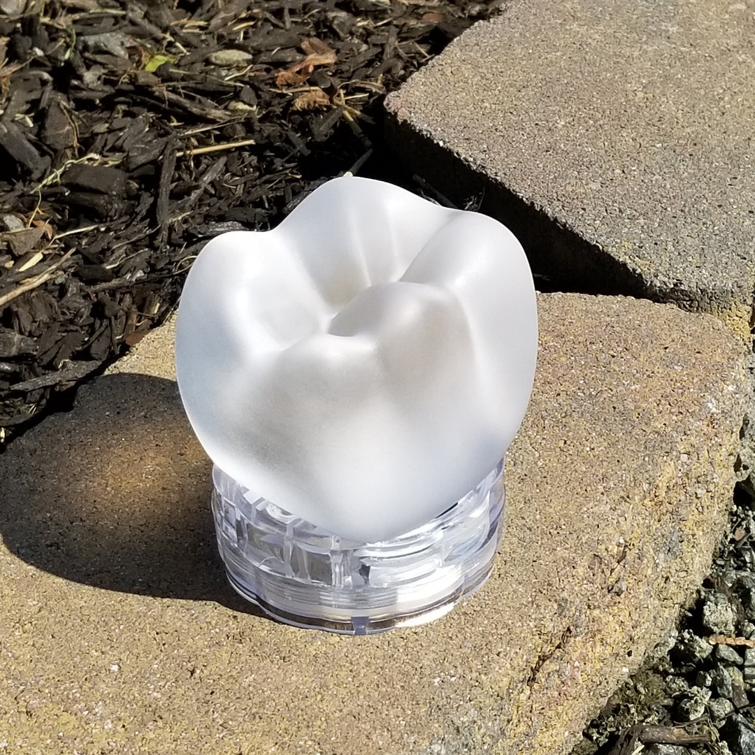 Glowing Tooth Sculpture - Bleached Edition With LED Base and Remote - Etsy