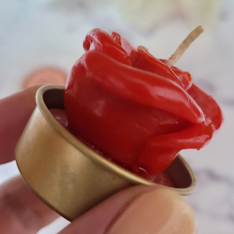 Candle Making PDF Tutorial Cactus Hearts Lip Rose Candle Etsy