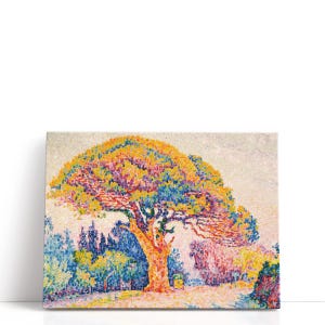Paul Signac Art – Le Pin De Bertaud | Colorful Pine Tree Wall Painting & Beautiful Nature Canvas Prints in Pointillism Style for Decor