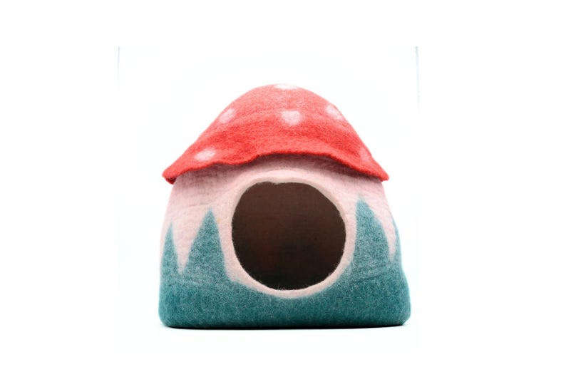 May include: A felt mushroom-shaped pet bed with a red top and white polka dots, a pink interior, and a teal green base with white accents.