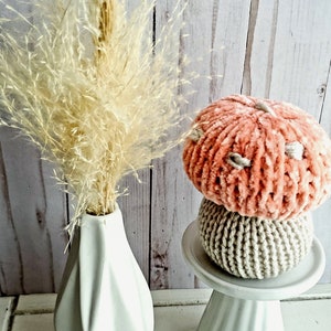 Velvet Mushroom Plushie: Handmade Boho Nursery, Knit Mushroom, woodland shower, fall tiered tray, cottage core decor , mushroom lovers gift