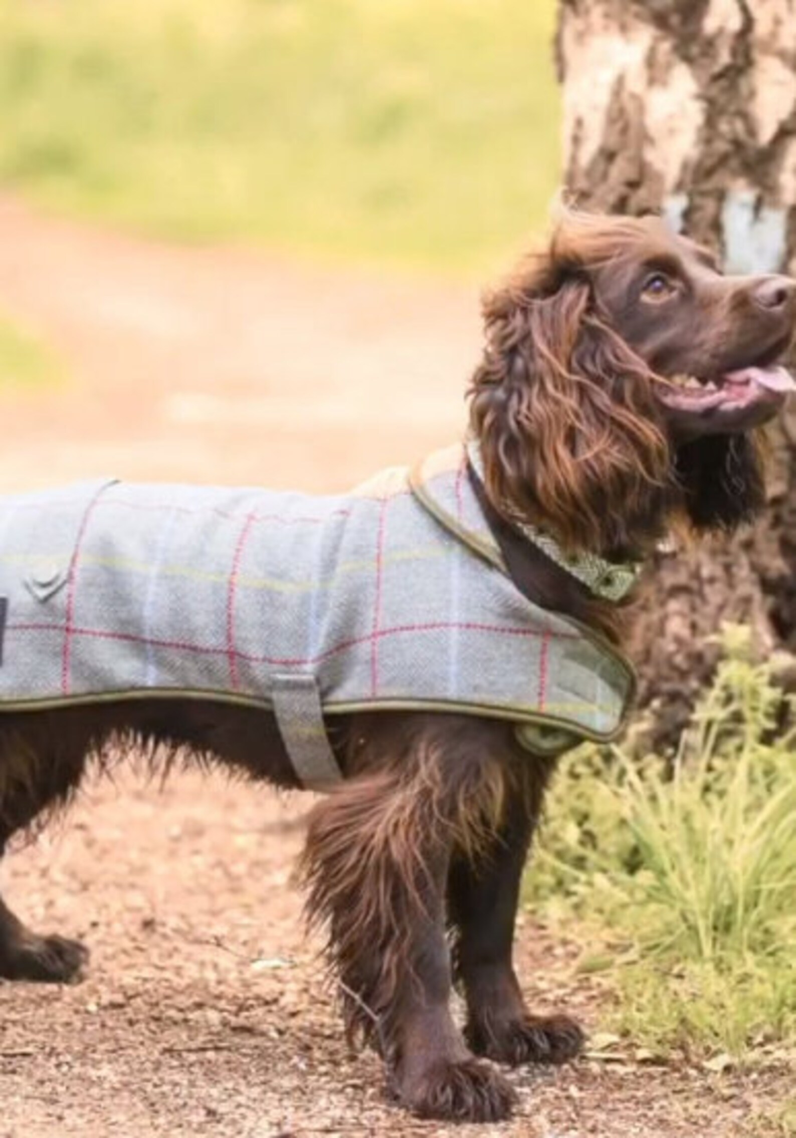 Dog Coats Luxury Tweed Dog Coats Etsy