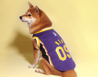 curry dog jersey