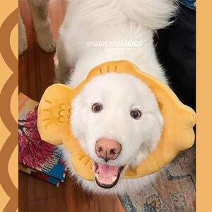 May include: A white dog wearing a yellow lion's mane costume. The dog is looking at the camera with its mouth open. The costume has a cartoon design with a wavy pattern and the text "@SQUEAKYANDCO".