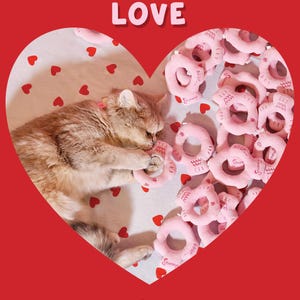 May include: A cat playing with pink donut-shaped toys inside a heart-shaped design. The image has the text "All you need is LOVE" at the top and the brand name "Squeaky" at the bottom. Red hearts are scattered on the background.