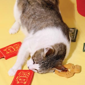 Envelope vermelho da sorte para ano novo, envelope da sorte, brinquedo amassado para gatos, 2 peças | Presente para gatos | Mãe de gatos | Presente de Natal imagem 7