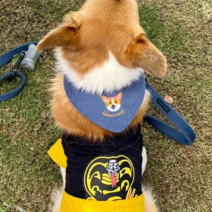 以下が含まれることがあります： 王冠と「Queen's corgi」の文字が入った青いバンダナと、黄色のベルトとコブラのロゴが入った黒いシャツを着たコーギー犬。犬は緑の草の上にいます。