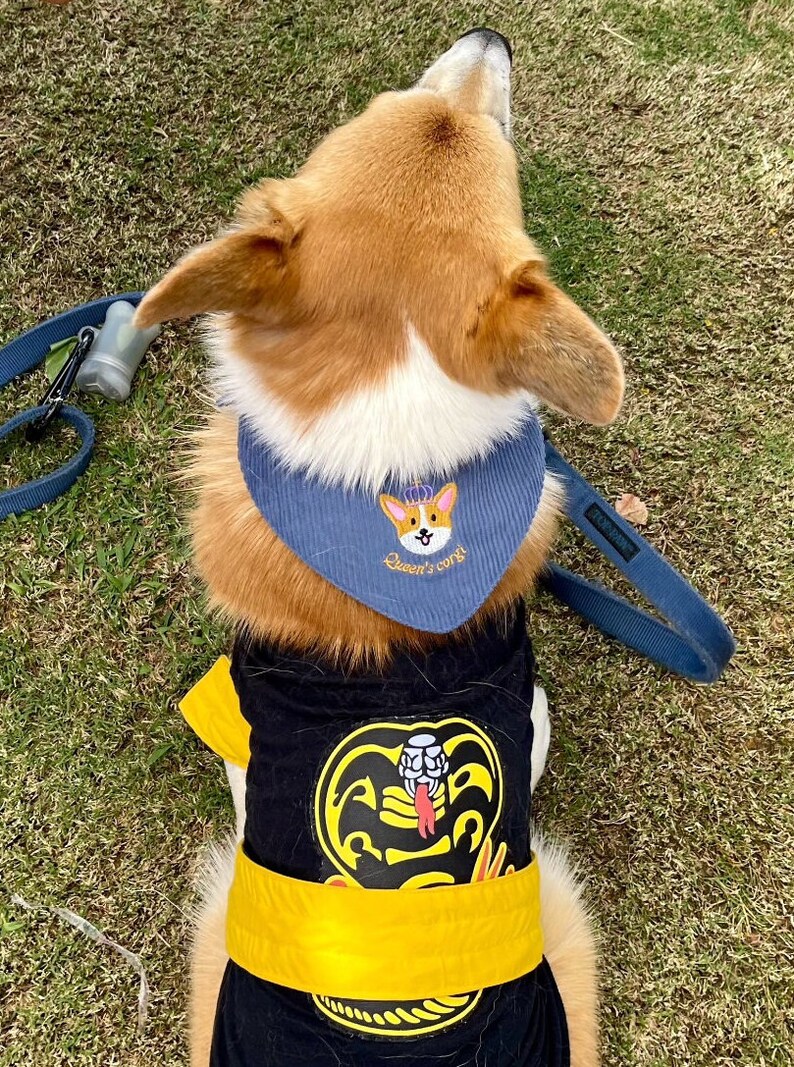 以下が含まれることがあります： 王冠と「Queen's corgi」の文字が入った青いバンダナと、黄色のベルトとコブラのロゴが入った黒いシャツを着たコーギー犬。犬は緑の草の上にいます。