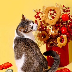 Envelope vermelho da sorte para ano novo, envelope da sorte, brinquedo amassado para gatos, 2 peças | Presente para gatos | Mãe de gatos | Presente de Natal imagem 8