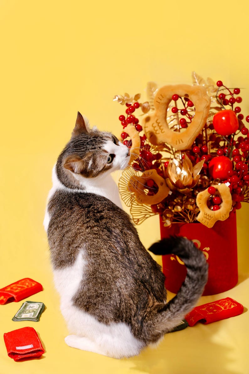 Envelope vermelho da sorte para ano novo, envelope da sorte, brinquedo amassado para gatos, 2 peças | Presente para gatos | Mãe de gatos | Presente de Natal imagem 8