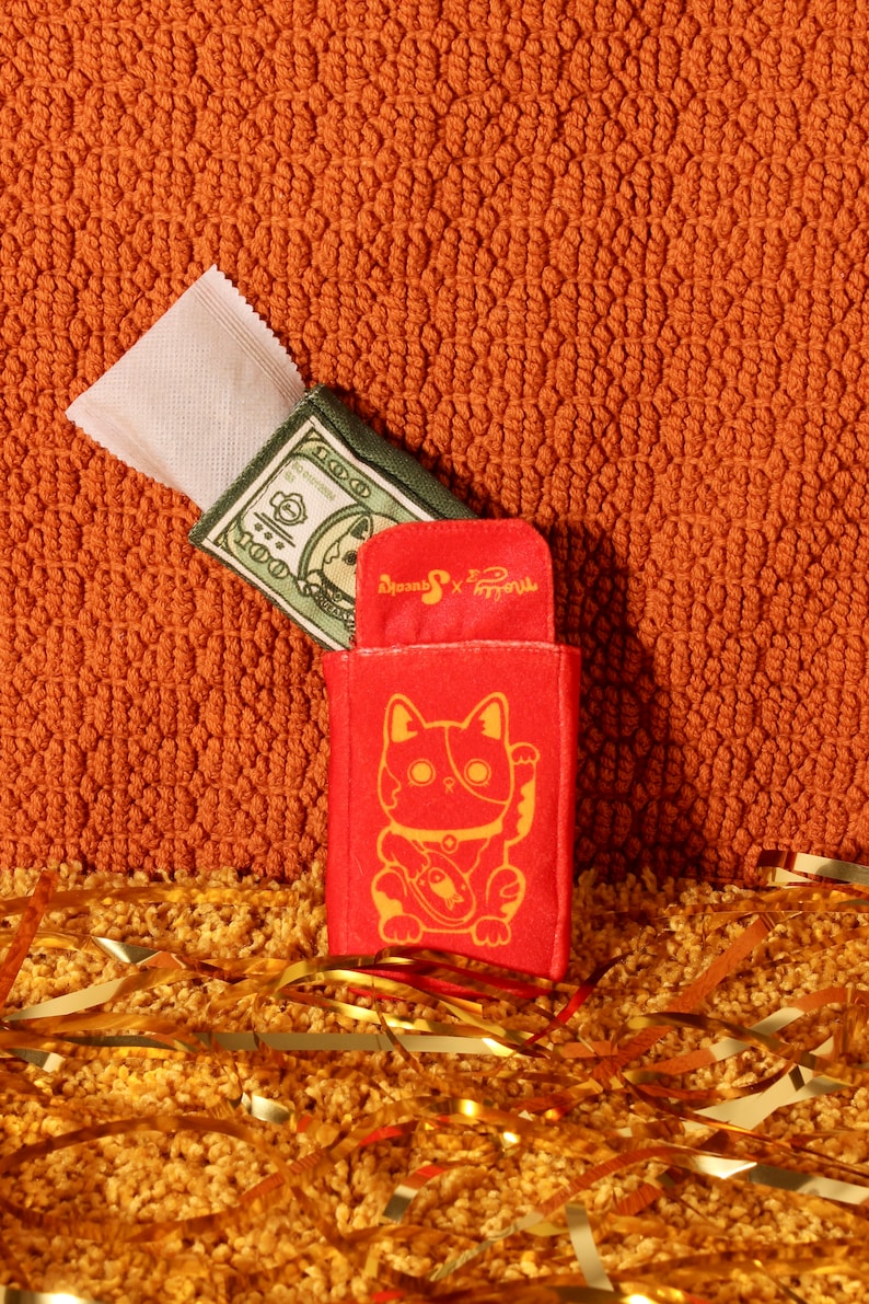 Pode incluir: Uma bolsa vermelha de gato da sorte com uma ilustra&ccedil;&atilde;o dourada, uma bolsa verde e branca com uma nota de d&oacute;lar e um pacote branco. Os itens est&atilde;o em uma superf&iacute;cie laranja texturizada com confetes dourados.