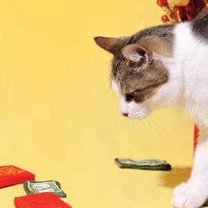 Envelope vermelho da sorte para ano novo, envelope da sorte, brinquedo amassado para gatos, 2 peças | Presente para gatos | Mãe de gatos | Presente de Natal imagem 5