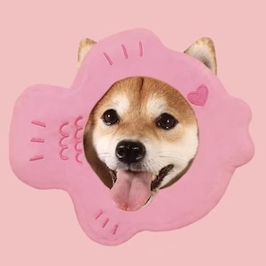 May include: A Shiba Inu dog wearing a pink flower-shaped pet accessory. The dog's face is framed by the accessory, with its tongue visible. The accessory features a heart and a wavy design.