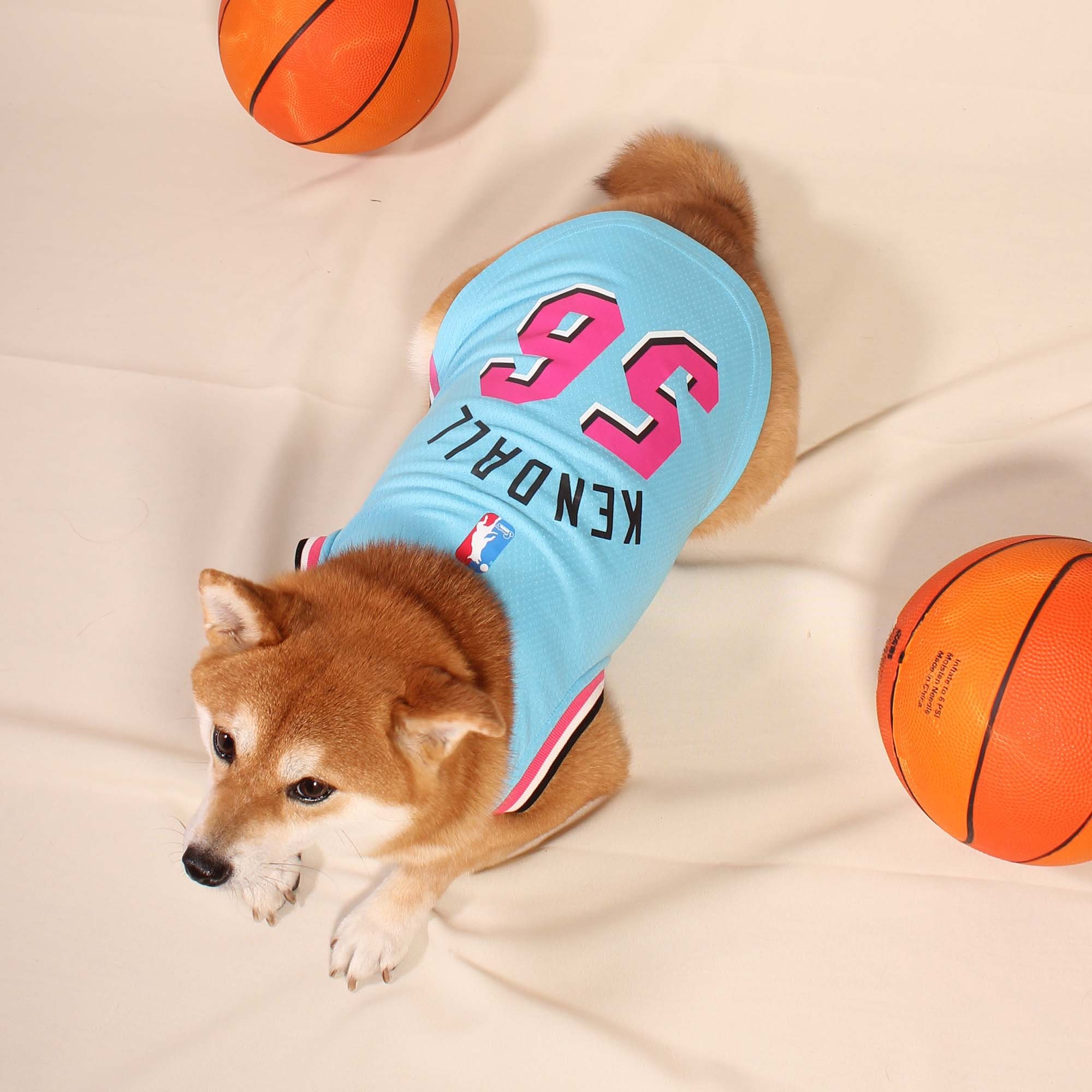 Personalized Customized Name Pet Dog Cat Puppy Basketball - Etsy