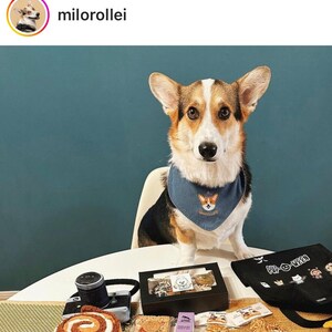 以下が含まれることがあります： コーギーのロゴが入った青いバンダナをつけたペンブローク・ウェルシュ・コーギーが、犬のおやつやおもちゃが置かれたテーブルに座っています。「Pup-O-Ween」と書かれた黒いトートバッグもテーブルにあります。