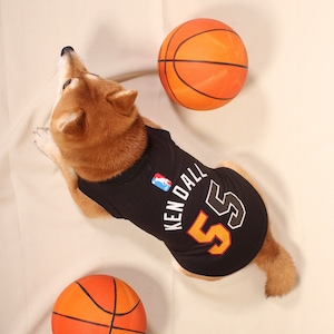 Bark Box NBA Jersey NBA Bucks Jersey Size Small Dog Jersey New!