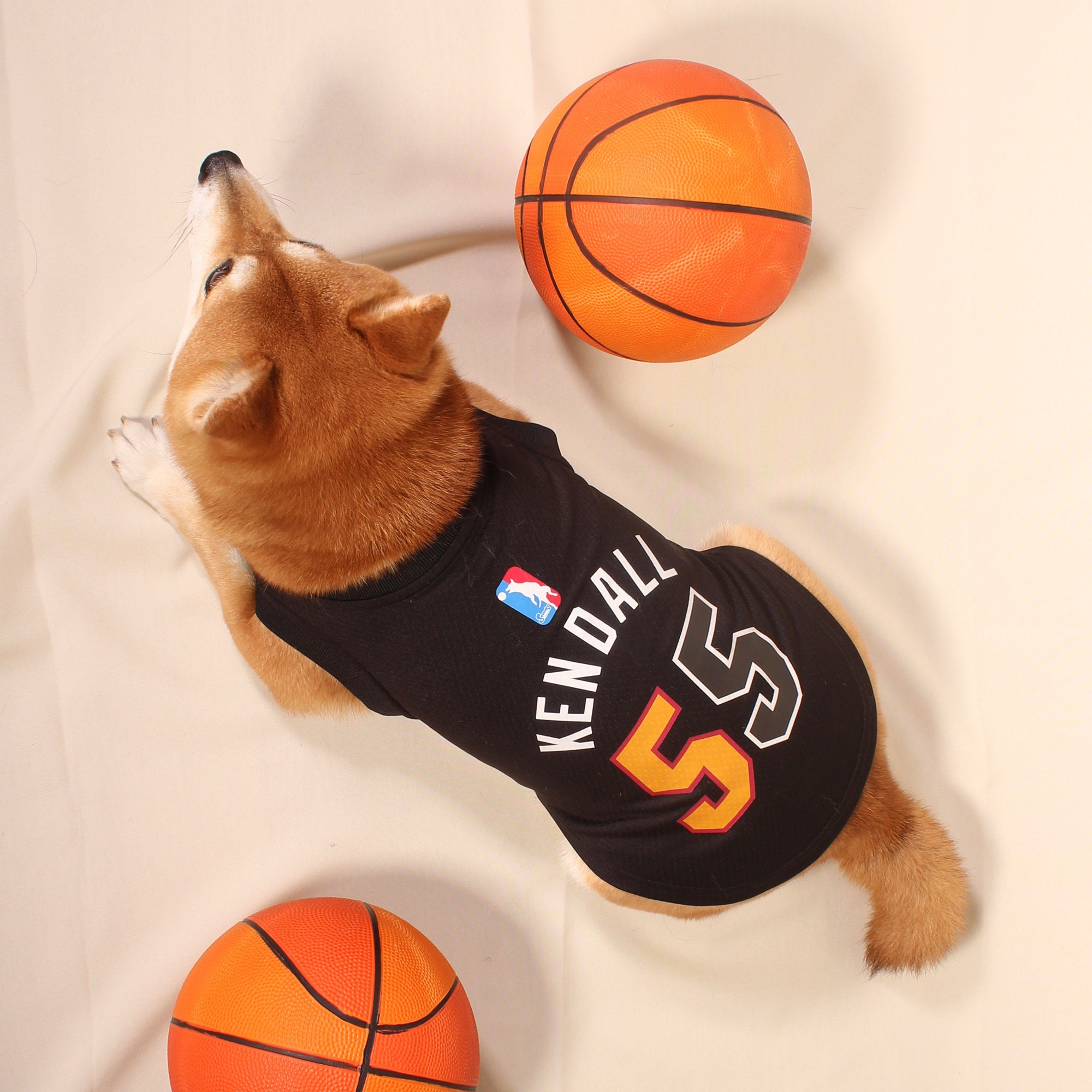 sad-zebra540: dog with lakers jersey