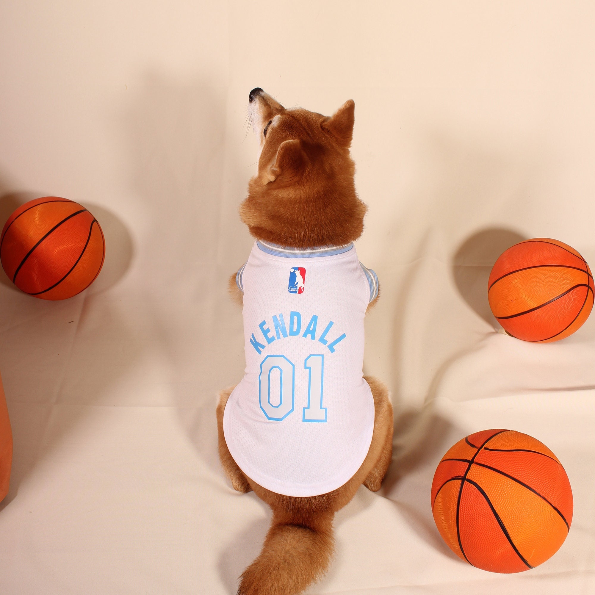 NBA, Dog, New Nba Phoenix Suns Baseball Team Dog Jersey