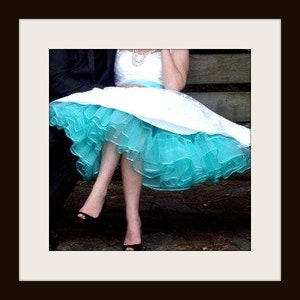 Miss Aggie extra full organza petticoat tutu ~ ruffled poof that can&#39;t be ignored