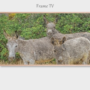 Art for the Frame TV, Family of Donkeys, Digital Painting | Digital Artwork | Frame TV Art 4K on LoxingtonHatch
