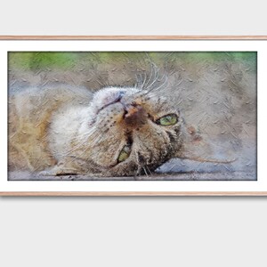 Frame TV Art., Sleepy outdoor cat, Digital Painting | Digital Artwork | Frame TV Art 4K on LoxingtonHatch