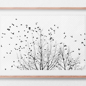 Flock of Birds. Tree. Sketch | Minimalist Art | Digital Artwork | Digital Print | Digital Download | Wall Art | Printable Art
