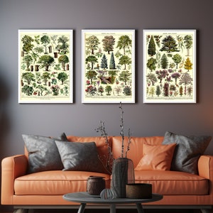 Set di 3 poster vintage con alberi, stampe artistiche botaniche educative da parete di Adolphe Millot, decorazioni da parete per la cucina ispirate alla natura, idea regalo