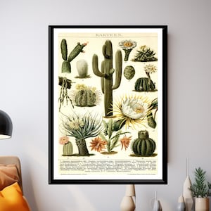 Póster botánico vintage de cactus: ilustración antigua de cactus, arte mural retro con plantas, impresión botánica vintage para cocina para decoración del hogar y regalos
