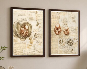 Leonardo da Vinci Anatomy Prints Set of 2, Fetus Embryology Medical Wall Art, Doctor Office Decor