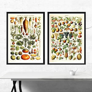 Vintage Fruit and Vegetable Poster Set, Antique Botanical Kitchen Wall Art, Adolphe Millot 1890s Botanical Prints, Farmhouse Kitchen Decor
