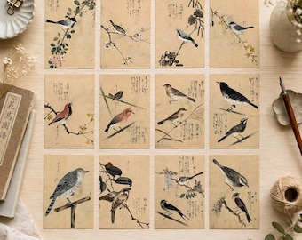 Vintage Japanese Bird Postcards Set, Kotori Ruisho Restored Prints, Antique Nature Art Cards, Botanical Bird Postcard Collection