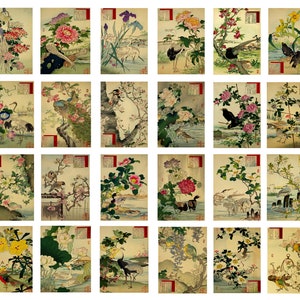 Cartoline di uccelli e fiori giapponesi, set di 24 stampe vintage Kono Bairei, arte botanica antica, illustrazioni naturalistiche Ukiyo-e, idea regalo