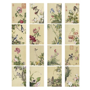 Bird and Flower Postcards Set of 16, Chinese Vintage Prints by Giuseppe Castiglione, Art Postcards, Nature Gift for Her or Collector
